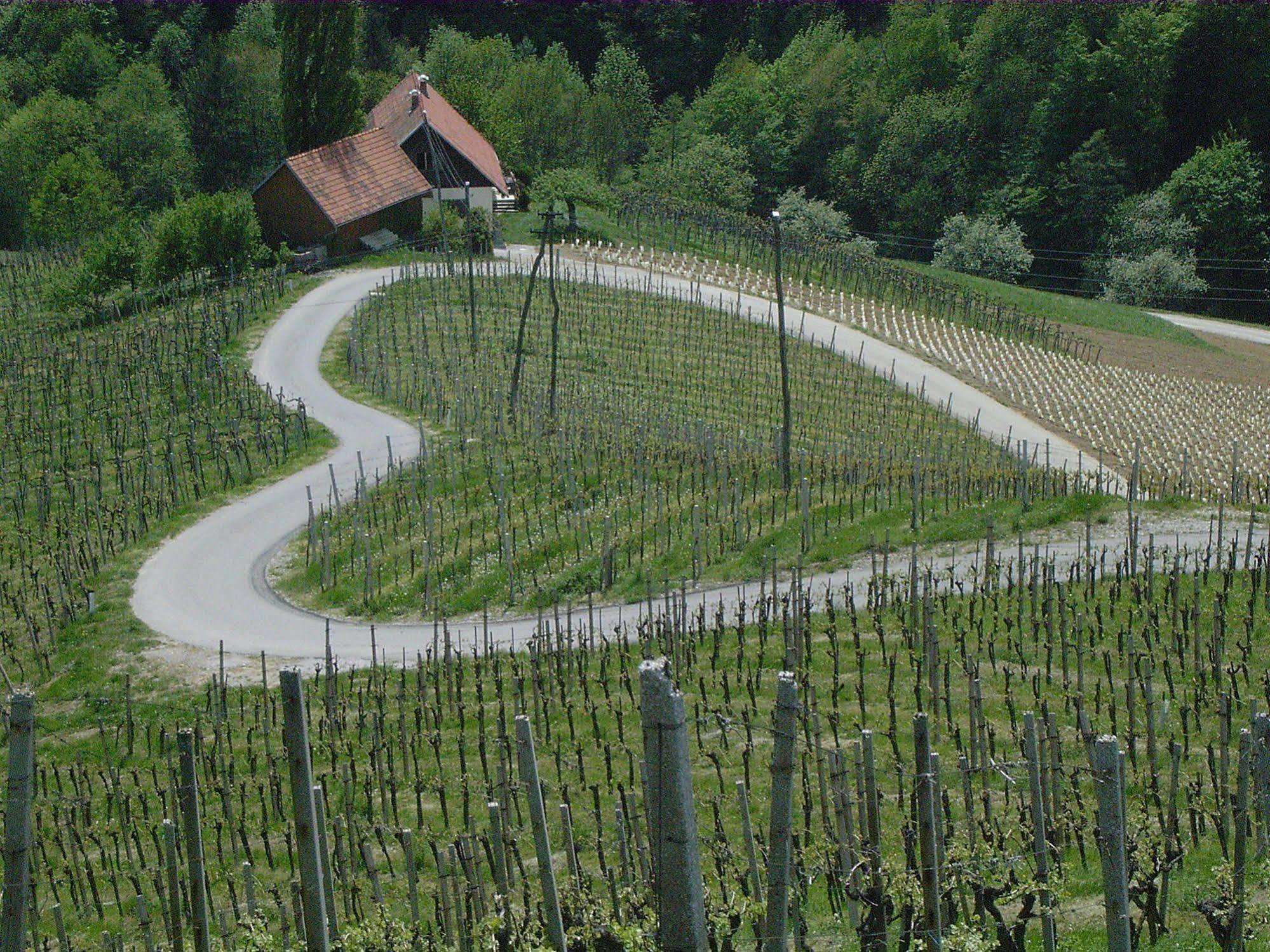 Weingut Primus Suedsteiermark Шпільфельд Екстер'єр фото