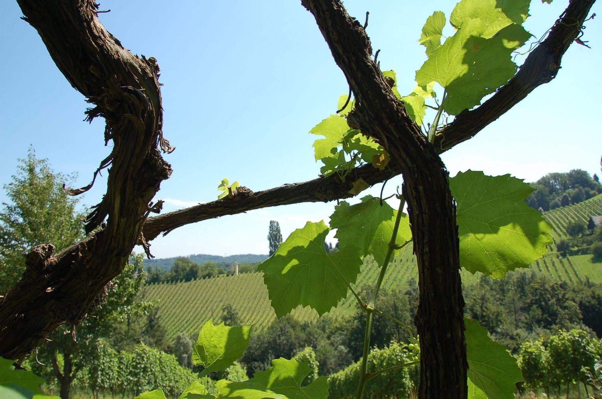 Weingut Primus Suedsteiermark Шпільфельд Екстер'єр фото